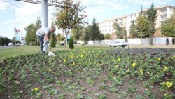 park ve bahceler mudurlugu elazig belediyesi